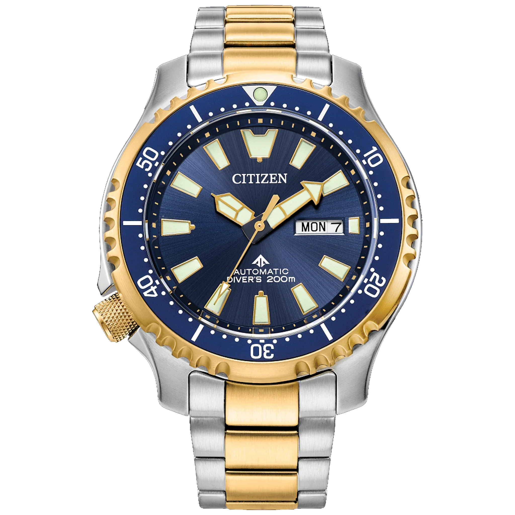 CITIZEN PROMASTER DIVE AUTOMATIC NY0154-51L